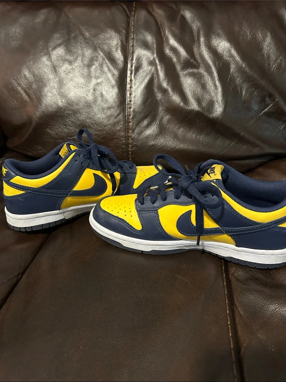 Nike Kids Low Dunk Sneakers in Yellow and Navy Blue